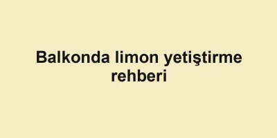 Balkonda limon yetiştirme rehberi
