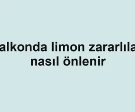 Balkonda limon zararlıları nasıl önlenir