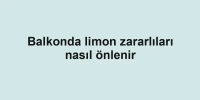 Balkonda limon zararlıları nasıl önlenir