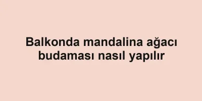 Balkonda mandalina ağacı budaması nasıl yapılır