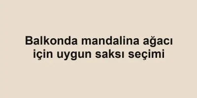 Balkonda mandalina ağacı için uygun saksı seçimi