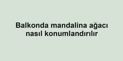 Balkonda mandalina ağacı nasıl konumlandırılır