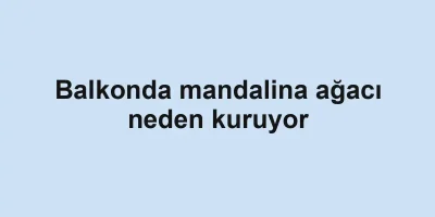 Balkonda mandalina ağacı neden kuruyor