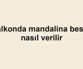 Balkonda mandalina besini nasıl verilir