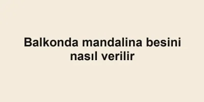Balkonda mandalina besini nasıl verilir