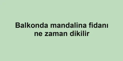 Balkonda mandalina fidanı ne zaman dikilir