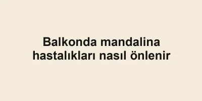 Balkonda mandalina hastalıkları nasıl önlenir