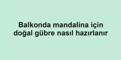 Balkonda mandalina için doğal gübre nasıl hazırlanır
