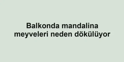 Balkonda mandalina meyveleri neden dökülüyor