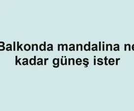 Balkonda mandalina ne kadar güneş ister