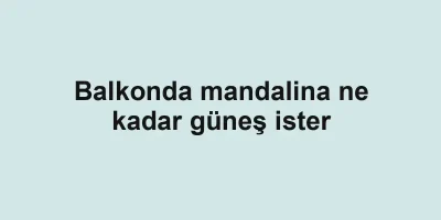 Balkonda mandalina ne kadar güneş ister