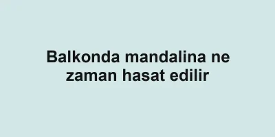 Balkonda mandalina ne zaman hasat edilir