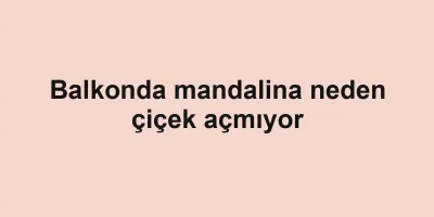 Balkonda mandalina neden çiçek açmıyor