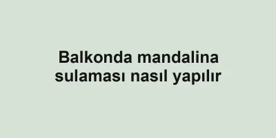 Balkonda mandalina sulaması nasıl yapılır