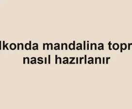 Balkonda mandalina toprağı nasıl hazırlanır