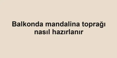 Balkonda mandalina toprağı nasıl hazırlanır