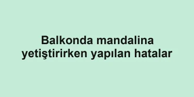 Balkonda mandalina yetiştirirken yapılan hatalar