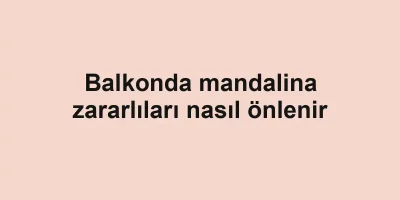 Balkonda mandalina zararlıları nasıl önlenir