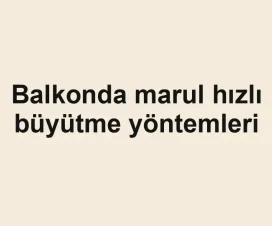 Balkonda marul hızlı büyütme yöntemleri
