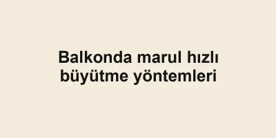 Balkonda marul hızlı büyütme yöntemleri