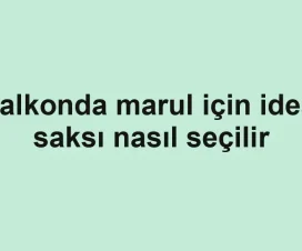Balkonda marul için ideal saksı nasıl seçilir