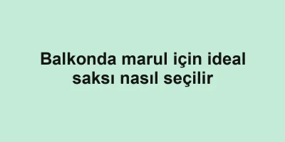 Balkonda marul için ideal saksı nasıl seçilir