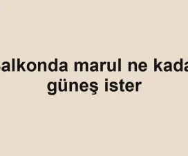 Balkonda marul ne kadar güneş ister