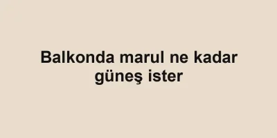 Balkonda marul ne kadar güneş ister