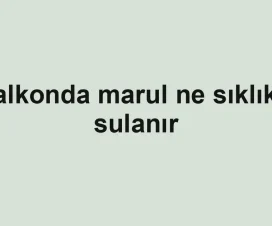 Balkonda marul ne sıklıkla sulanır