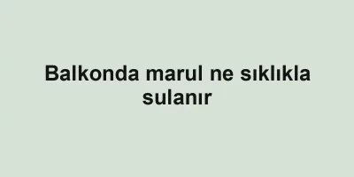 Balkonda marul ne sıklıkla sulanır