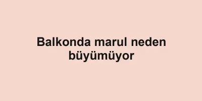 Balkonda marul neden büyümüyor
