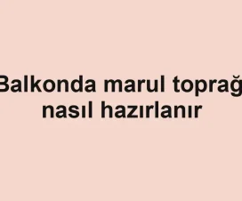 Balkonda marul toprağı nasıl hazırlanır