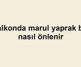 Balkonda marul yaprak biti nasıl önlenir