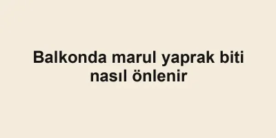 Balkonda marul yaprak biti nasıl önlenir