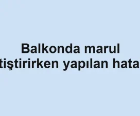 Balkonda marul yetiştirirken yapılan hatalar