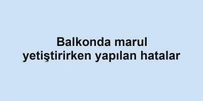 Balkonda marul yetiştirirken yapılan hatalar