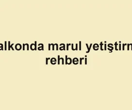 Balkonda marul yetiştirme rehberi