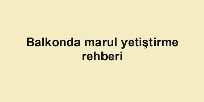 Balkonda marul yetiştirme rehberi