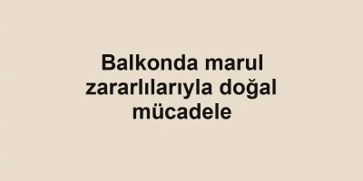 Balkonda marul zararlılarıyla doğal mücadele