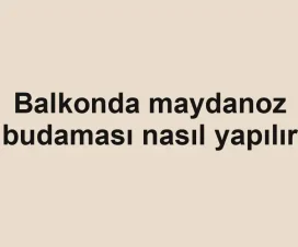 Balkonda maydanoz budaması nasıl yapılır