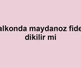 Balkonda maydanoz fidesi dikilir mi
