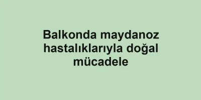 Balkonda maydanoz hastalıklarıyla doğal mücadele