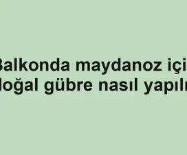 Balkonda maydanoz için doğal gübre nasıl yapılır