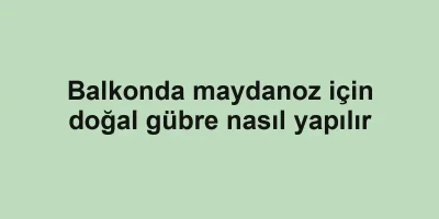 Balkonda maydanoz için doğal gübre nasıl yapılır