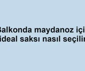 Balkonda maydanoz için ideal saksı nasıl seçilir