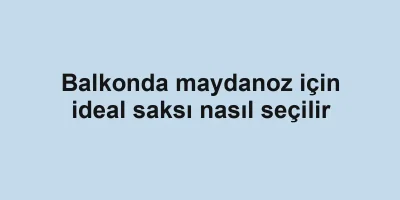 Balkonda maydanoz için ideal saksı nasıl seçilir