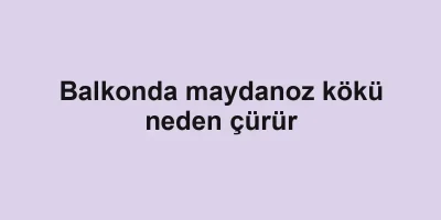 Balkonda maydanoz kökü neden çürür