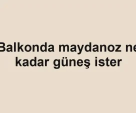 Balkonda maydanoz ne kadar güneş ister