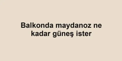 Balkonda maydanoz ne kadar güneş ister