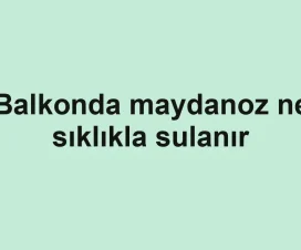 Balkonda maydanoz ne sıklıkla sulanır